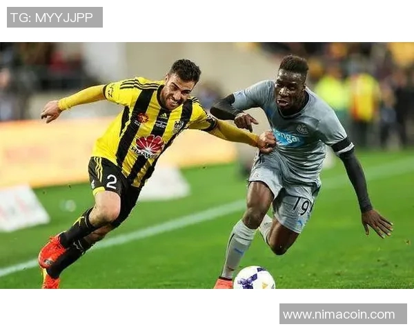 布里斯班狮吼与凤凰的激烈对决展现足球魅力与团队精神