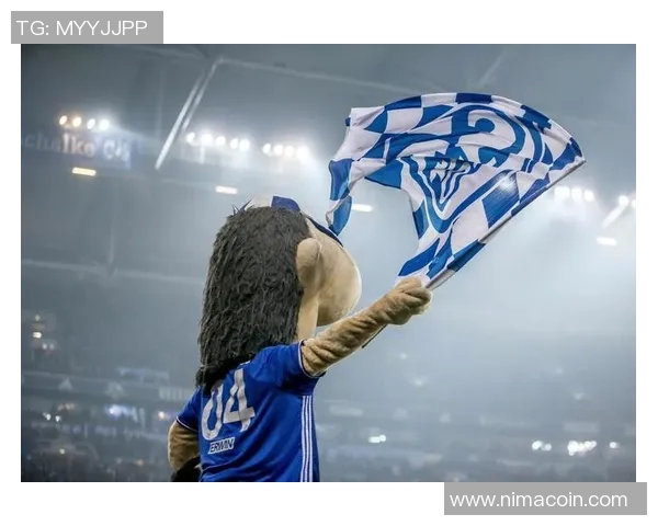 沙尔克04引援新秀，签下年轻天才，展望未来光明